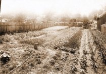 Back yard, 132 North Cameron